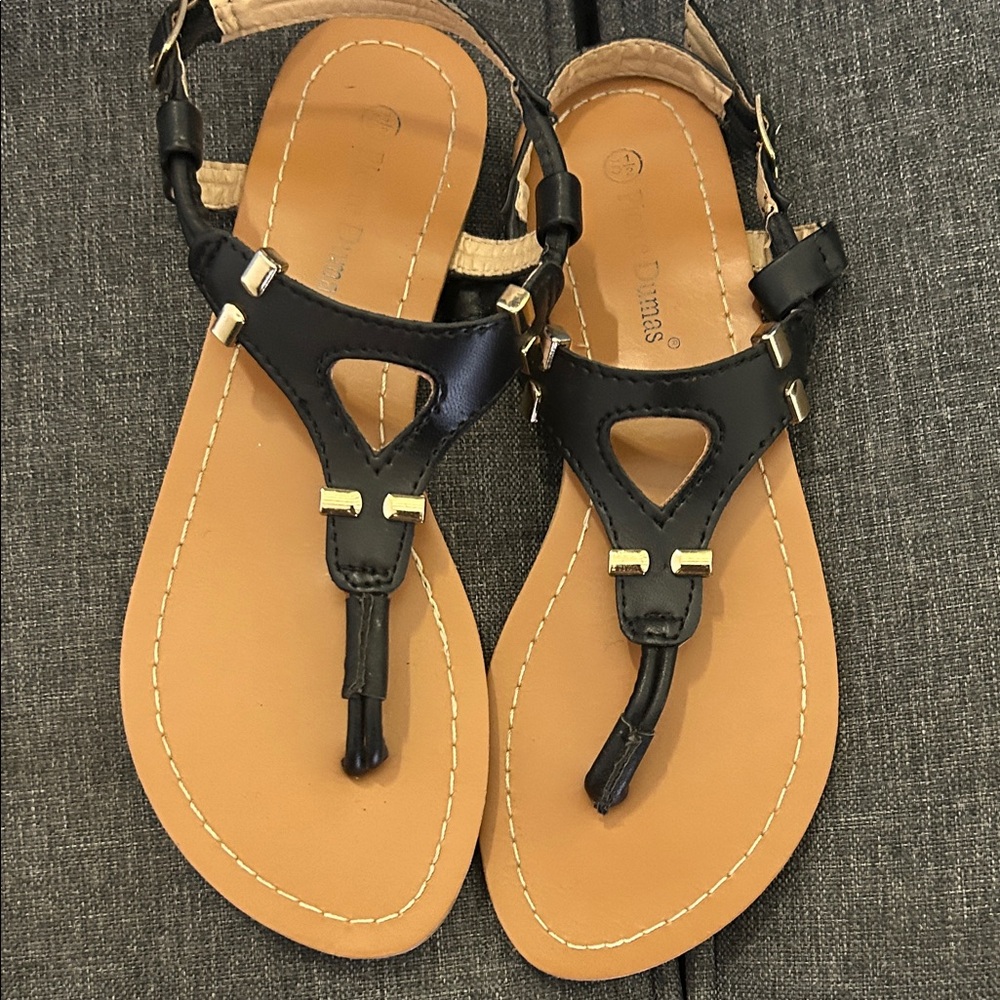Pierre Dumas Black and Tan Sandals